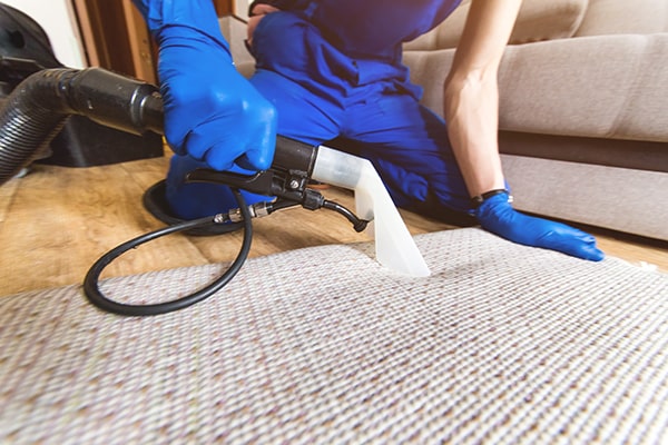 Carpet being deep cleaned on-site by an Oassist technician